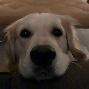 Meet your Posher, Nick